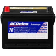 AC Delco ACD-46B24LS 12V 45AH Car Battery