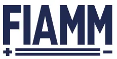 fiamm658076aa31c9d
